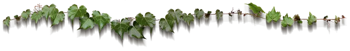 separador.png