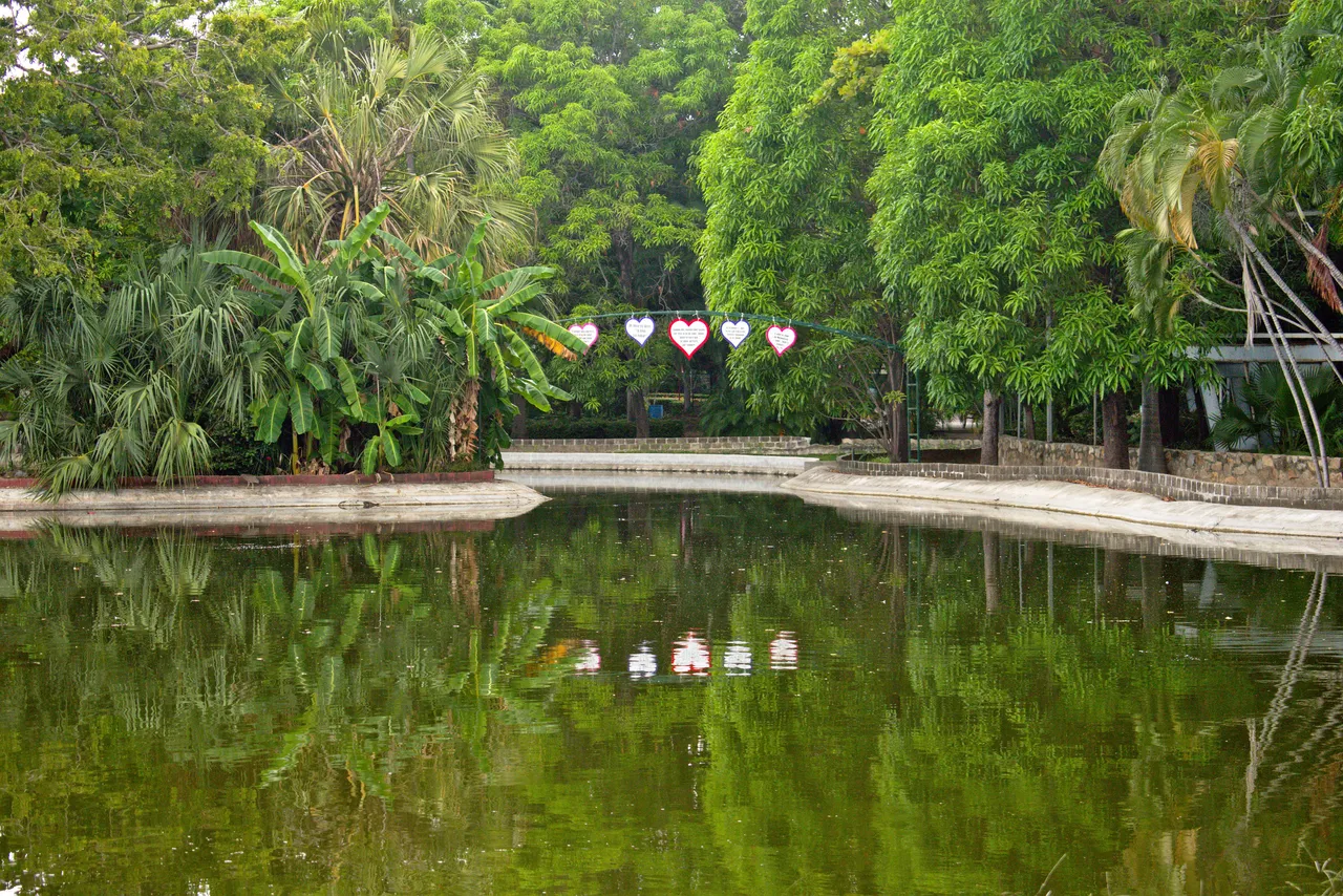 DSC_0047.jpeg
