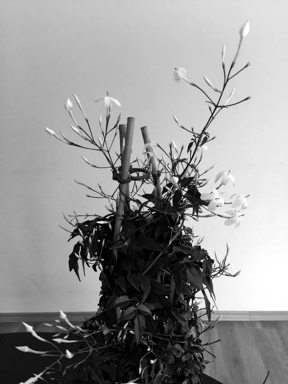 IMG2562BW.JPG