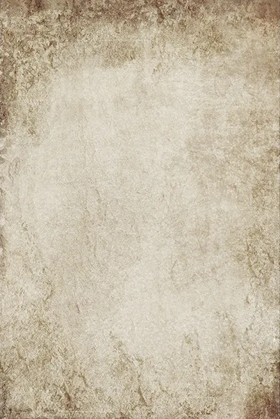 bg copy.jpg