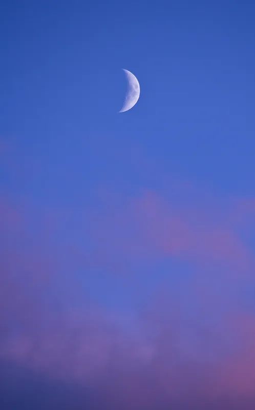 afternoon.png