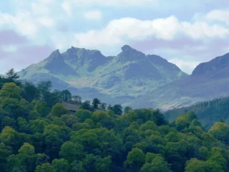 Highland3.jpg