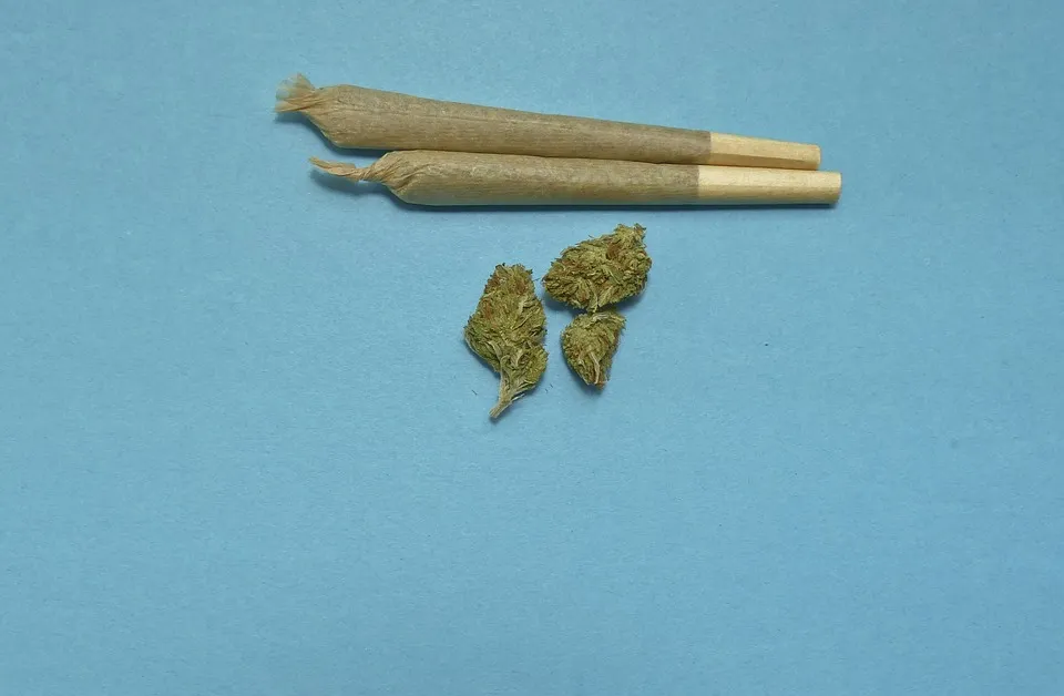 weed phot.jpg