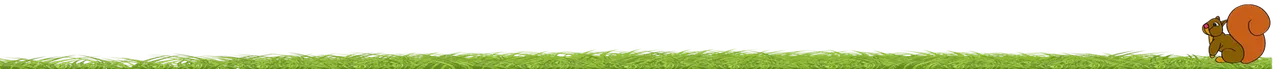 ardillita.png