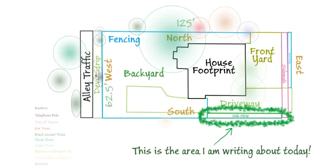 footprint.jpg