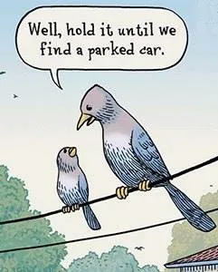 hold it.jpg