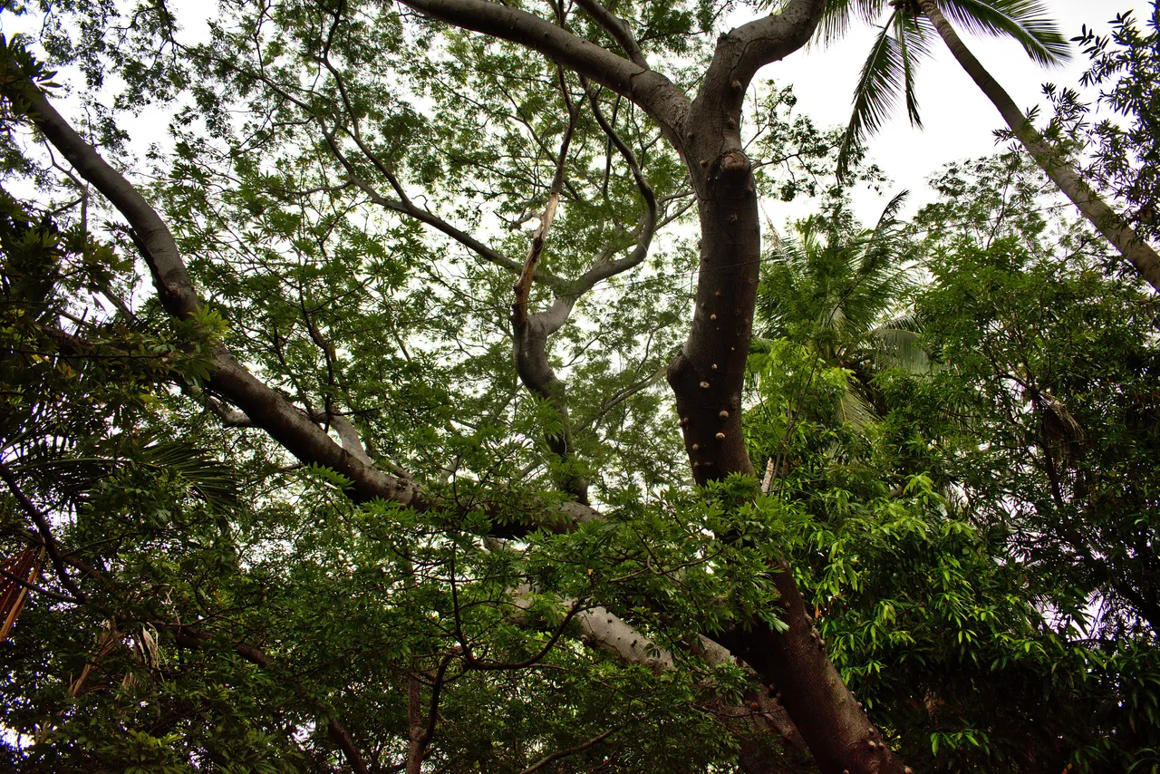 DSC_0057.jpeg