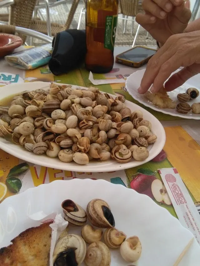 schnecken.jpg