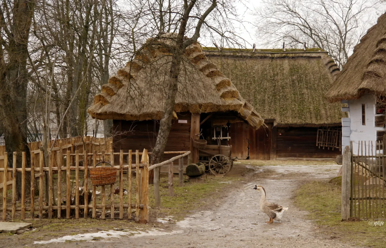 muzeum_04.JPG