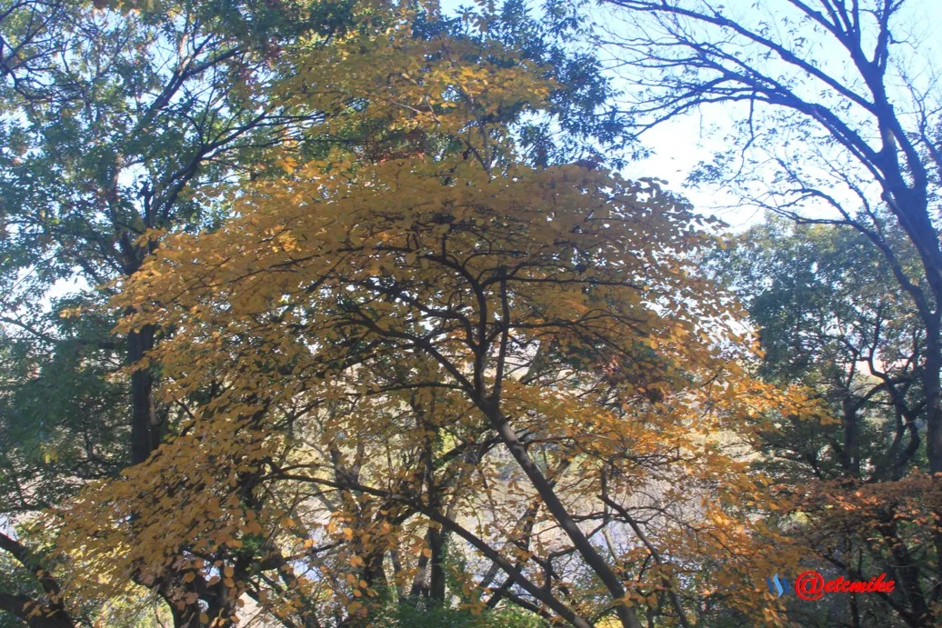 Fall02151.jpg