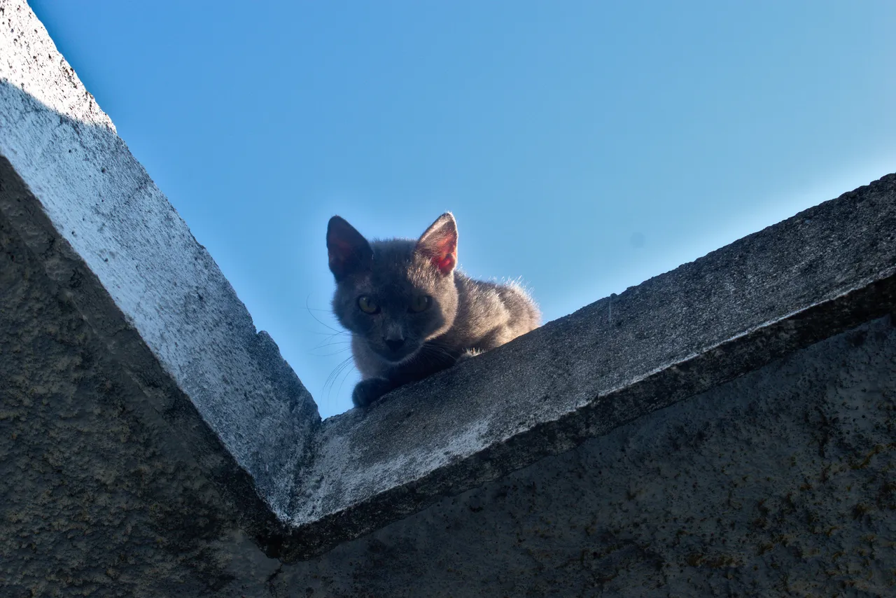 DSC_0081.jpeg