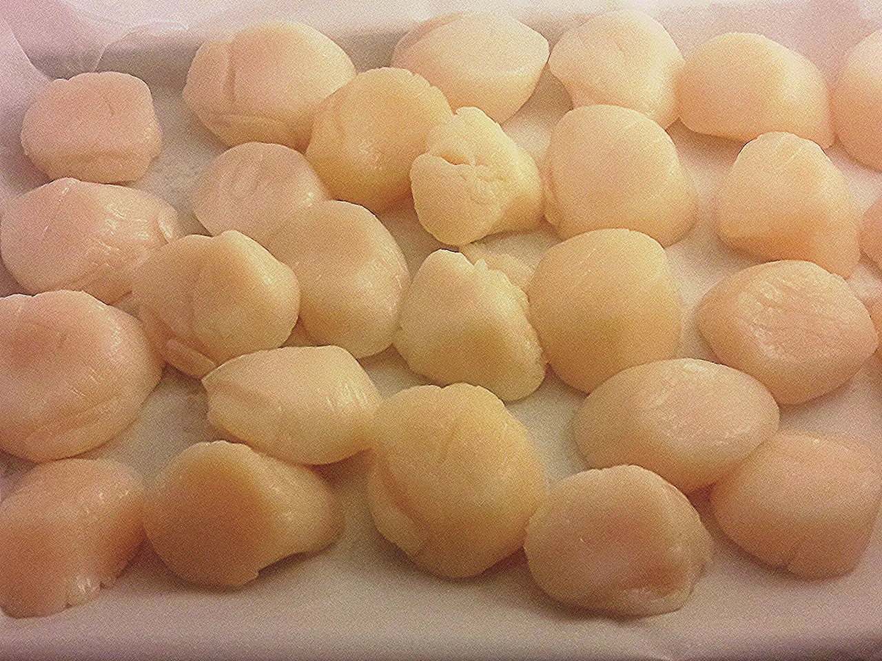 scallops1.jpg