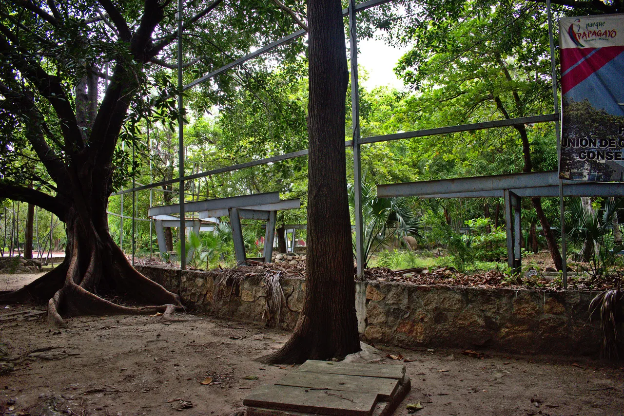 DSC_0062.jpeg