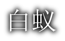 logowhite.png