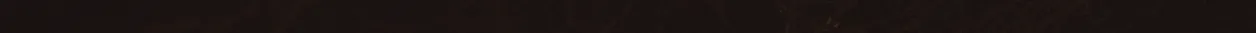 ligth 2.png