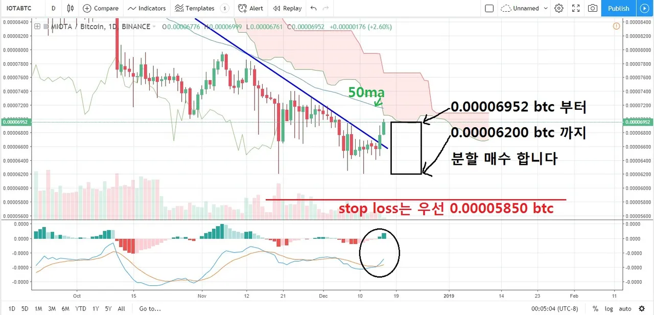 iota d2.jpg