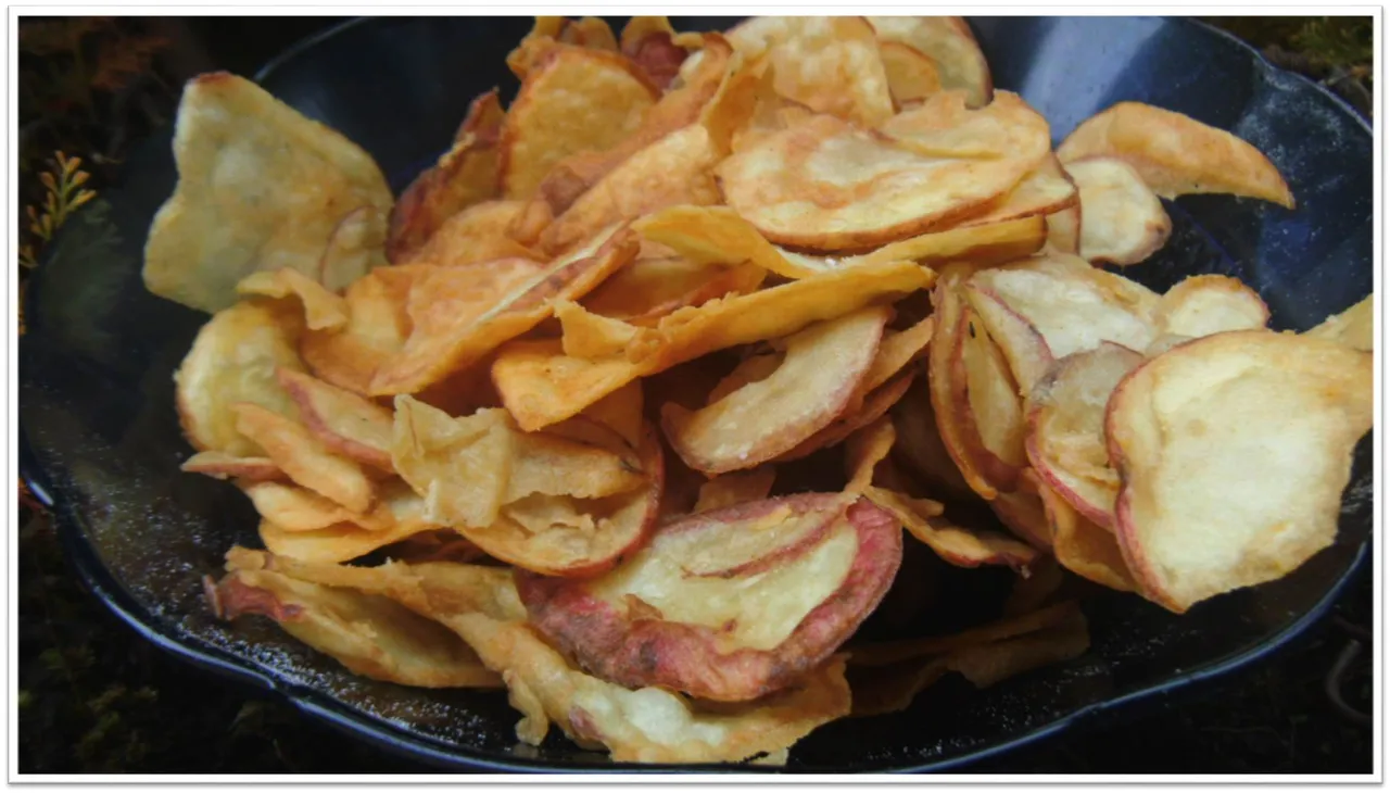 chips 8.jpg