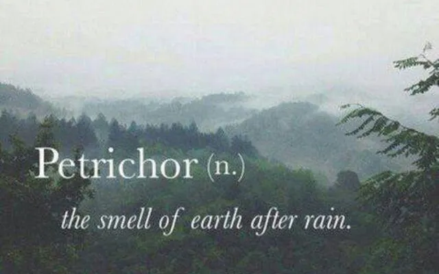 petrichor.jpg