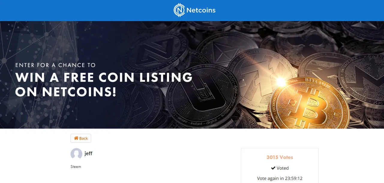 netcoins2.PNG