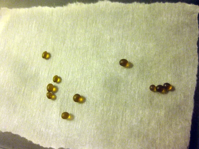 legaldab4.JPG