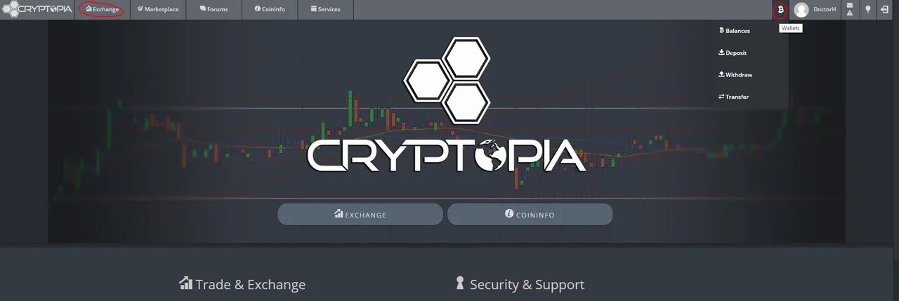 Cryptopia.PNG