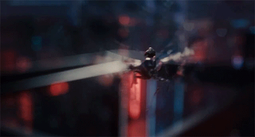 ant-ridah.gif