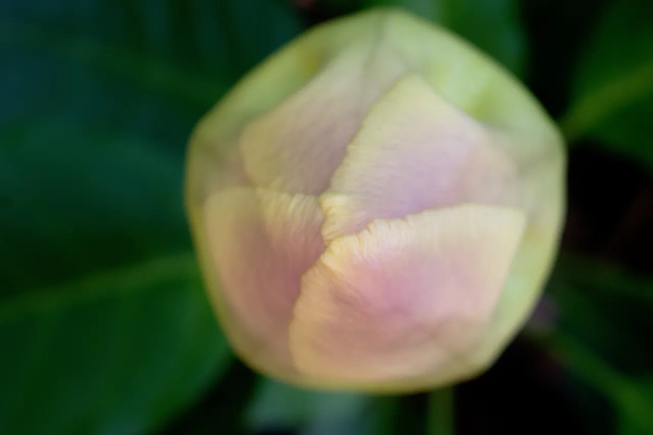 DSC_0119.jpeg