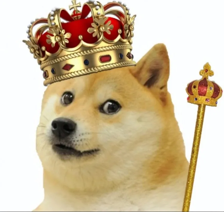 44444doge.jpg