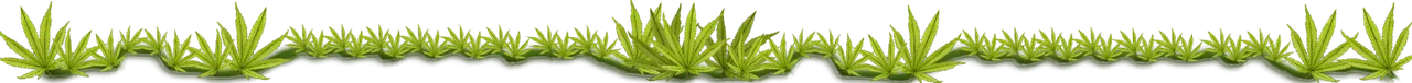 separador.png