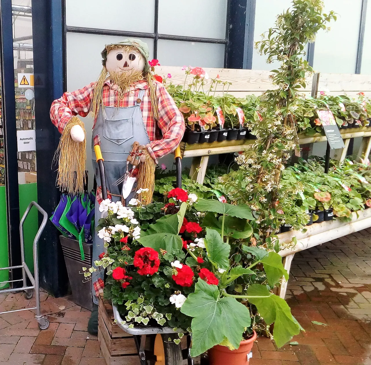 scarecrow.jpg