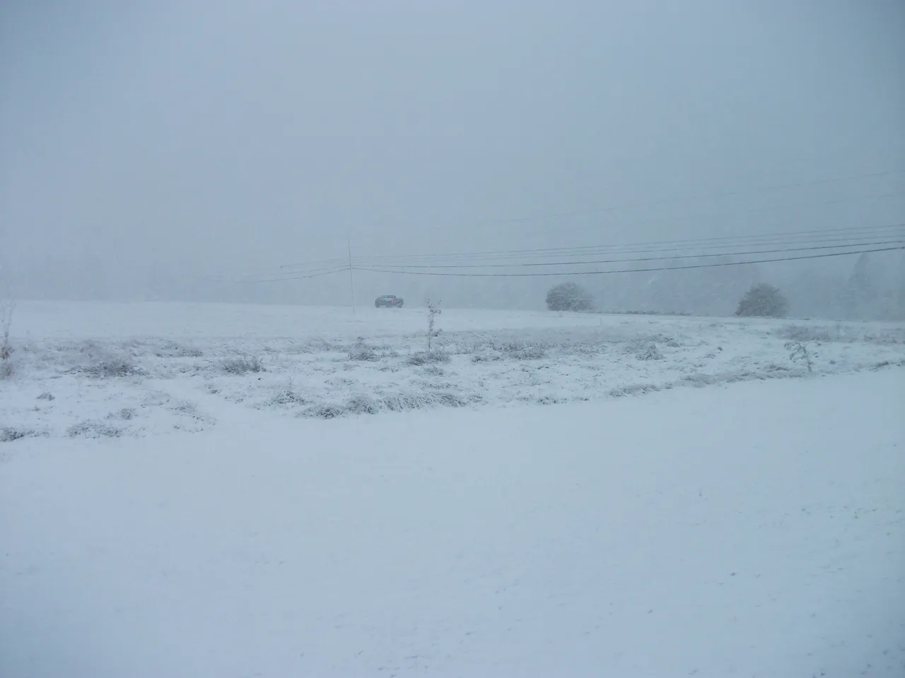 Snowy 007.JPG