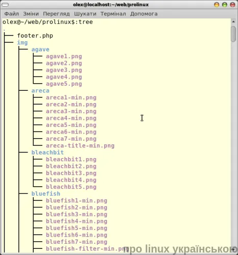tree1-min.png