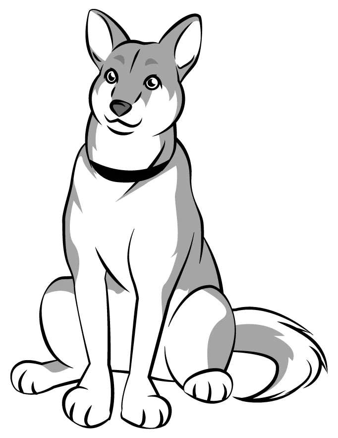 Perros-14.png