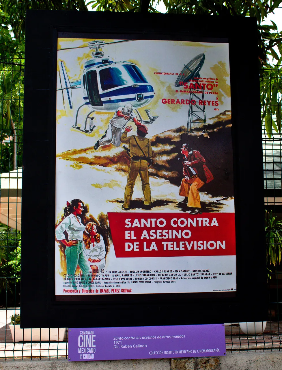 DSC_0133.jpeg
