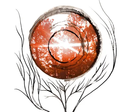 treesunTH.jpg