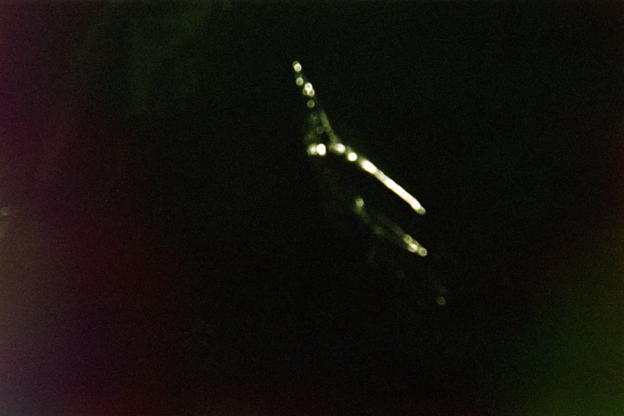 Asset0022.jpg