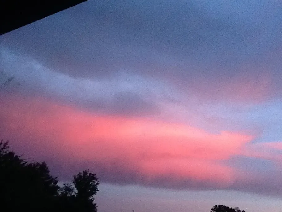 pink sky2.JPG