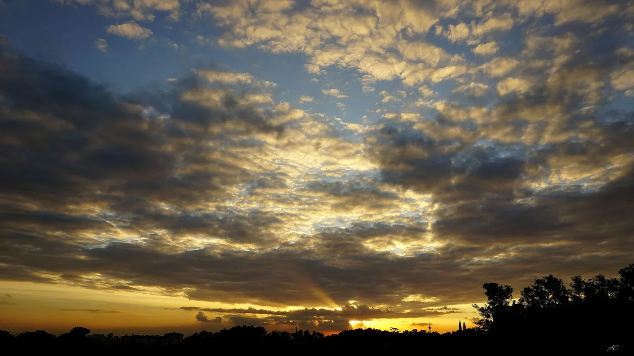 DSC06852b.jpg
