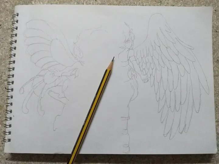 angle 6.jpg