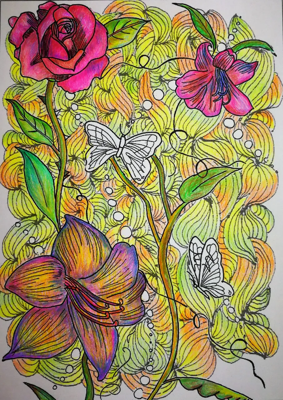 Image 3.jpg