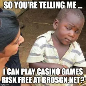 BROmeme10.jpg