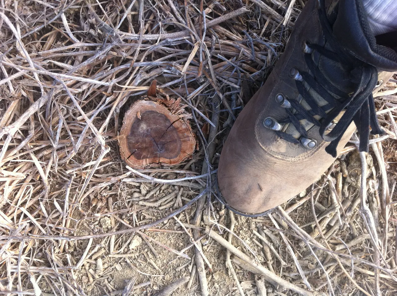 Photo 6.JPG