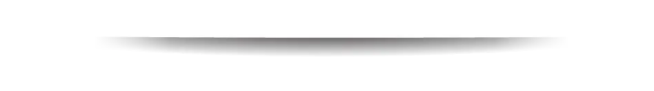 Asset 4.png
