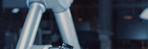curation1.gif