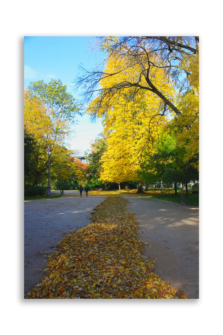 the park of Toulouse