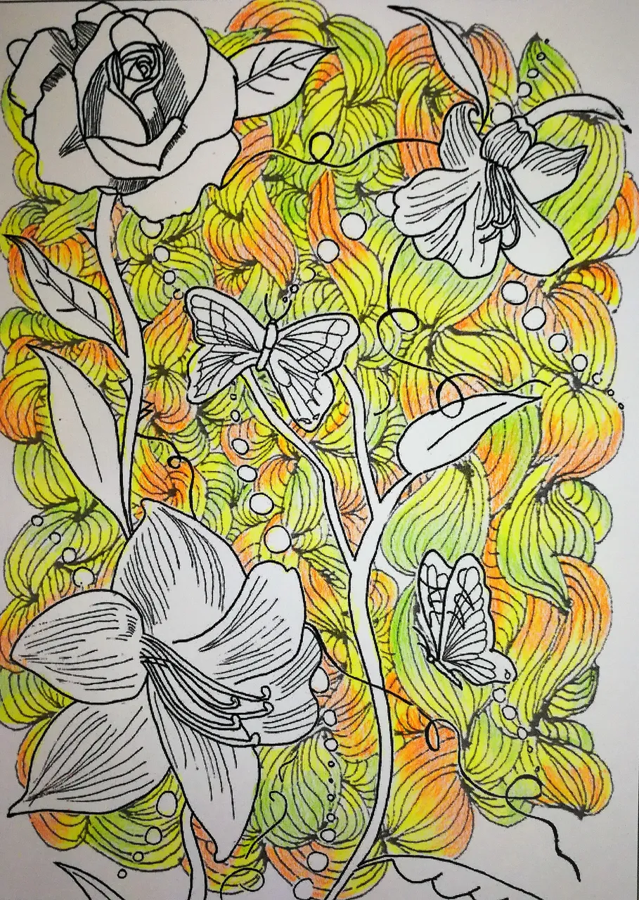 Image 1.jpg