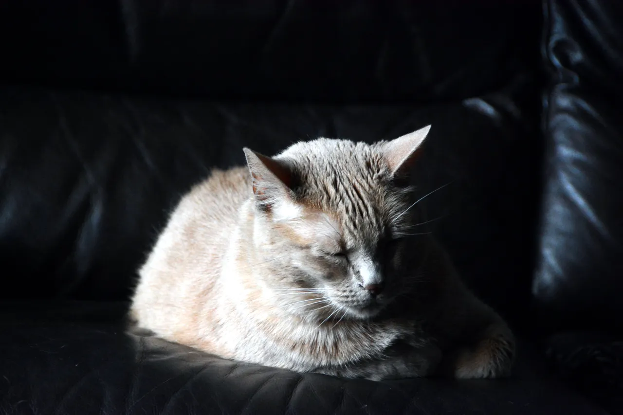 DSC_26481.jpg