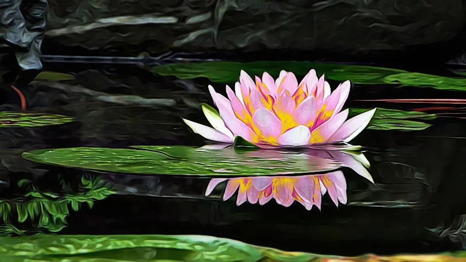 lotus 2.jpg