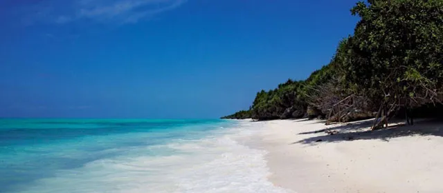 zanzibar1.jpg