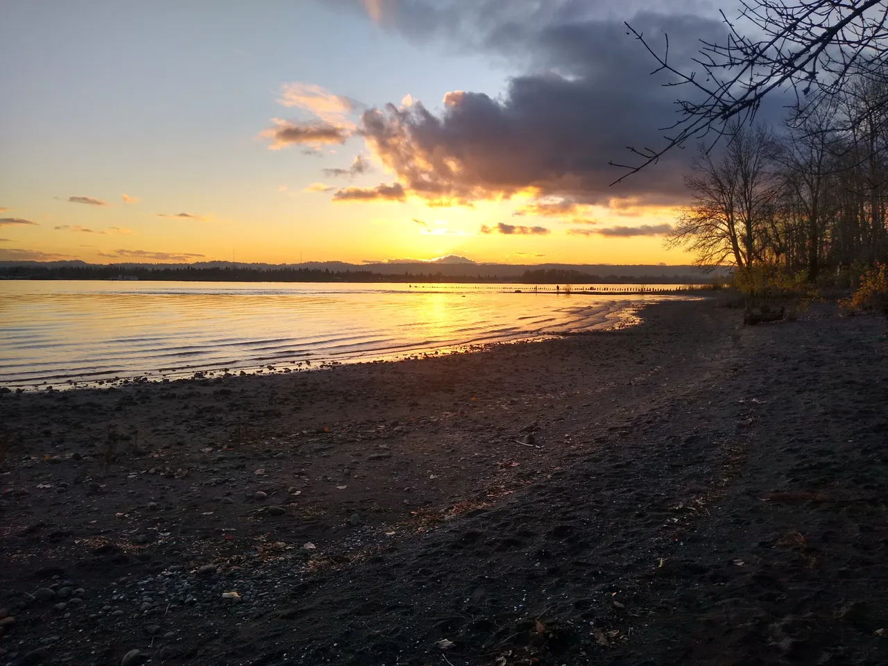 IMG_20201209_161057483_HDR.jpg
